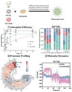 Graphical abstract: Unraveling the interfacial fate of nanoplastics in soil: proteomics and molecular dynamics decipher the protein corona governed by surface functionalization