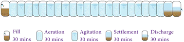 Graphical abstract: Enhancing sustainability in a sequential batch reactor for wastewater treatment: soft sensor-based ammonia prediction with PSO-LSTM and random forest model