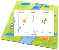 Graphical abstract: Transformation and immobilization of sedimental galena (PbS) by phosphate from surface runoff in simulated storm suspensions