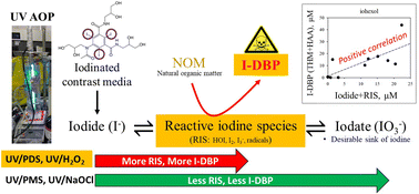 Graphical abstract: Formation dynamics of inorganic iodine species during UV-based advanced oxidation of iopamidol and iohexol and their correlation with iodinated disinfection by-product yields