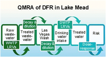 Graphical abstract: Quantitative microbial risk assessment of the impact of drought and seasonality on a de facto reuse system in Southern Nevada, USA
