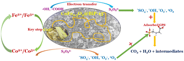 Graphical abstract: Preparation of biopolymer-supported spinel cobalt ferrite with controlled composition as a peroxydisulfate activator for glyphosate-contaminated wastewater treatment