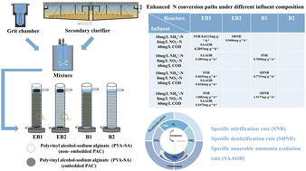 Graphical abstract: Effect of PAC-embedded fillers coupled with electrochemical systems on nitrogen transfer pathways and removal