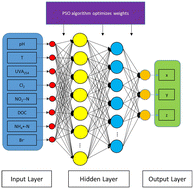 Graphical abstract: Machine-learning prediction of DCAA and TCAA concentrations in drinking water