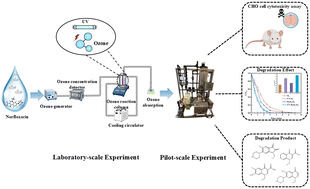 Graphical abstract: UV/O3 degradation of norfloxacin in complex lake and reservoir water matrices: performance, mechanisms, and pilot-scale verification