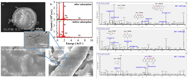 Graphical abstract: Additional effect of the coagulation process on removal of tetracycline from characteristically simulated livestock and poultry wastewater