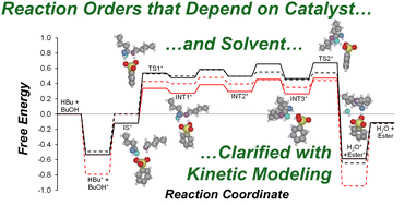 Graphical abstract: Solvation effects in liquid-phase esterification reactions catalyzed by hydrogen-form ion exchange resins