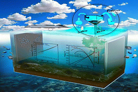 Graphical abstract: Direct work function tuning via boron-acceptor substitution on an iron phthalocyanine ligand for a boosted oxygen reduction reaction in brine-seawater batteries