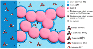 Graphical abstract: Unraveling membrane electrode assembly design for electrochemical conversion of carbon dioxide to formate/formic acid