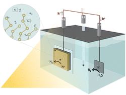 Graphical abstract: Minimalist and nanoparticle-free selenium-based photocathodes for record performance solar-driven hydrogen evolution