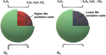 Graphical abstract: Unveiling the role of oxygen species in surface promoted Fe–Mn oxides for chemical looping oxidative dehydrogenation of ethane