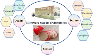Graphical abstract: Effect of vacuum microwave drying pretreatment on the quality characteristics and textural structure of new paocai raw materials