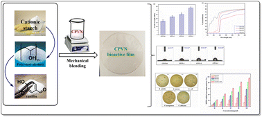 Graphical abstract: Vanillin reinforced cationic starch/poly(vinyl alcohol) based antimicrobial and antioxidant bioactive films: sustainable food packaging materials
