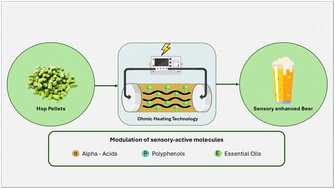 Graphical abstract: Powering up brewing: ohmic heating's effect on the extraction of key sensory compounds from hop pellets