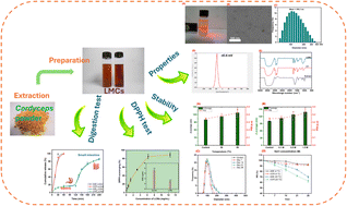 Graphical abstract: Nano-liposome encapsulation of adenosine and cordycepin from Cordyceps militaris: preparation, characterization, stability, and in vitro digestion evaluation