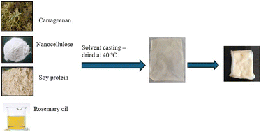 Graphical abstract: Rosemary oil infused bionanocomposite films: a sustainable and active packaging material for paneer preservation