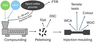 Graphical abstract: Utilizing spent coffee grounds as sustainable fillers in biopolymer composites: influence of particle size and content