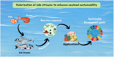 Graphical abstract: Valorization of side streams to enhance seafood sustainability
