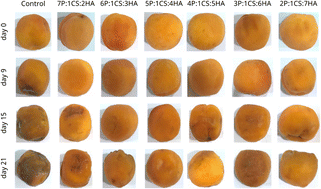 Graphical abstract: Hyaluronic acid/chitosan/pectin based edible composite antioxidant coatings for the preservation of fresh apricots