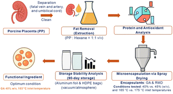 Graphical abstract: Sustainable valorization of porcine placenta through microencapsulation: a circular economy approach to functional ingredient development