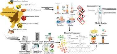 Graphical abstract: Cerrado fruits as sources of bioactive extracts: functional food applications and emerging technologies for sustainable extraction