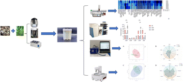 Graphical abstract: Effect of different thermal processing methods on the edible quality and flavor profile of kidney bean and clam soup