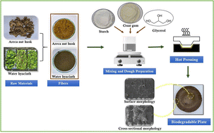 Graphical abstract: Valorization of areca nut husk and water hyacinth fibers into biodegradable plates for sustainable packaging