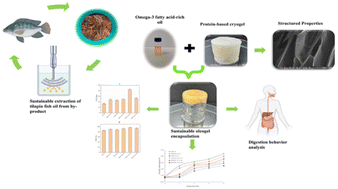 Graphical abstract: Sustainable oleogel encapsulation of tilapia fish oil using protein-based cryogels: fabrication, characterization, and digestion behavior
