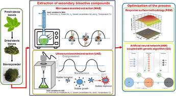 Graphical abstract: Comparative evaluation and optimization of microwave and ultrasound assisted extraction of stevia secondary bioactive compounds using RSM and ANN–GA approaches