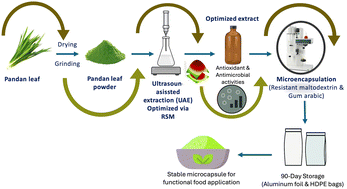 Graphical abstract: Sustainable production of bioactive pandan leaf extract microcapsules via optimized ultrasound-assisted extraction and spray drying