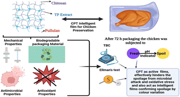 Graphical abstract: Tradescantia pallida extract incorporated chitosan/pullulan intelligent biodegradable films: an eco-friendly packaging to preserve the freshness of chicken