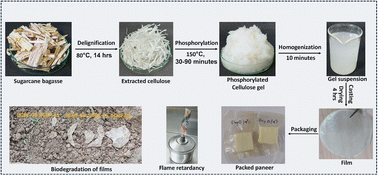 Graphical abstract: Multifunctional cellulose phosphate-based food packaging films from biomass: structure–function relationship and environmental assessment studies
