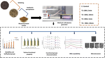 Graphical abstract: Effect of pin-to-plate atmospheric pressure cold plasma on mustard protein isolate: physicochemical, structural, thermal, and functional characterization