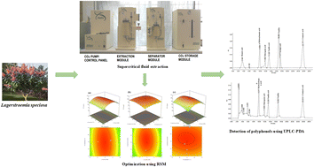 Graphical abstract: Optimization of supercritical fluid extraction of valuable compounds from Lagerstroemia speciosa leaves for in vitro antidiabetic and antioxidant activity