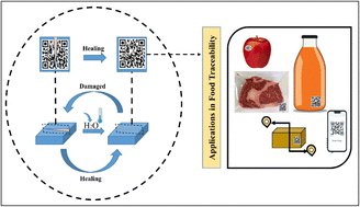 Graphical abstract: Comprehensive review on the integration of self-healing polymers with smart food traceability: scope, application and challenges