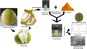 Graphical abstract: Development and characterization of a functional nanoemulsion using pomelo peel essential oil and curcumin