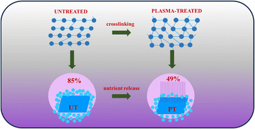 Graphical abstract: Plasma-assisted modification of micronutrient-embedded PVA/PVP blend films for sustained nutrient delivery in agricultural applications
