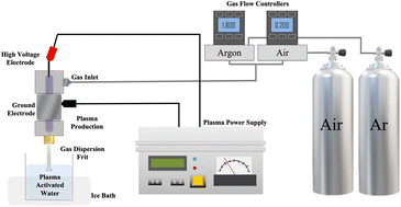Graphical abstract: Effects of plasma activated water on fava bean protein isolate functionality and 3D printability