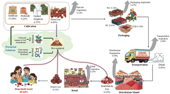Graphical abstract: Life cycle carbon accounting and waste valorisation in litchi supply chains for climate-resilient food systems