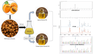 Graphical abstract: Hydro-treatment of wild bitter apricot kernel oil: a cheap and cost-effective alternative for reducing toxicity and enhancing quality
