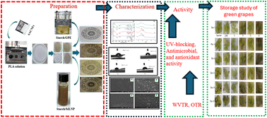 Graphical abstract: PLA/starch bi-layer films reinforced with rice straw cellulose nanofibers and functionalized with organosolv–lignin nanoparticles and grapefruit bioactives for shelf life extension of green grapes