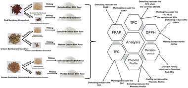 Graphical abstract: Exploring the effect of dehulling and malting on the antioxidant properties, phenolic composition, and metabolite profile of Bambara groundnut (Vigna subterranea) flour obtained from three varieties