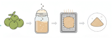Graphical abstract: Physicochemical and bioactive characterization of microencapsulated Phyllanthus emblica kombucha powder through foam mat drying