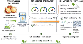 Graphical abstract: Valorization of rambutan peel (Nephelium lappaceum L.) byproducts through pulsed electric field-assisted green extraction of pectin optimized by response surface methodology
