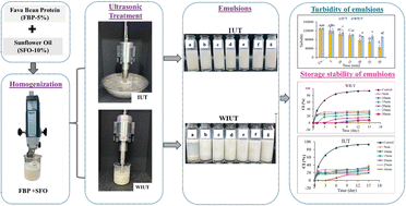 Graphical abstract: Comparative analysis of the effect of ultrasonic treatment with ice and without ice cooling on the stability of oil-in-water emulsions stabilized by fava bean (Vicia fava L.) protein