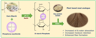 Graphical abstract: Role of phosphorylated corn starch in the texturization of high moisture meat analogues