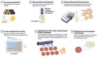 Graphical abstract: Ho Wood (Cinnamomum camphora) essential oil nanoemulsion as a natural alternative combined with UV-C LED for Staphylococcus aureus reduction in plant-based burger analogues