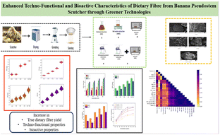 Graphical abstract: Enhanced techno-functional and bioactive characteristics of dietary fibre from banana pseudostem scutcher through greener technologies