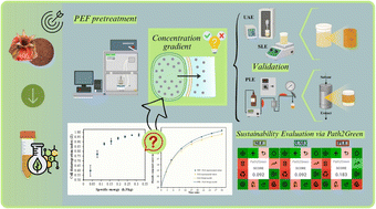 Graphical abstract: Pulsed electric field pretreatment reveals matrix-dependent mass transfer mechanisms in phenolic recovery from pomegranate peel