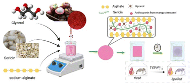 Graphical abstract: Biodegradable alginate–sericin biofilm: a colorimetric indicator using mangosteen-peel anthocyanins for protein food freshness